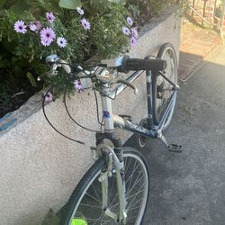 Bikes For Cheep