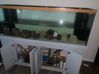 125 gallon saltwater fish tank