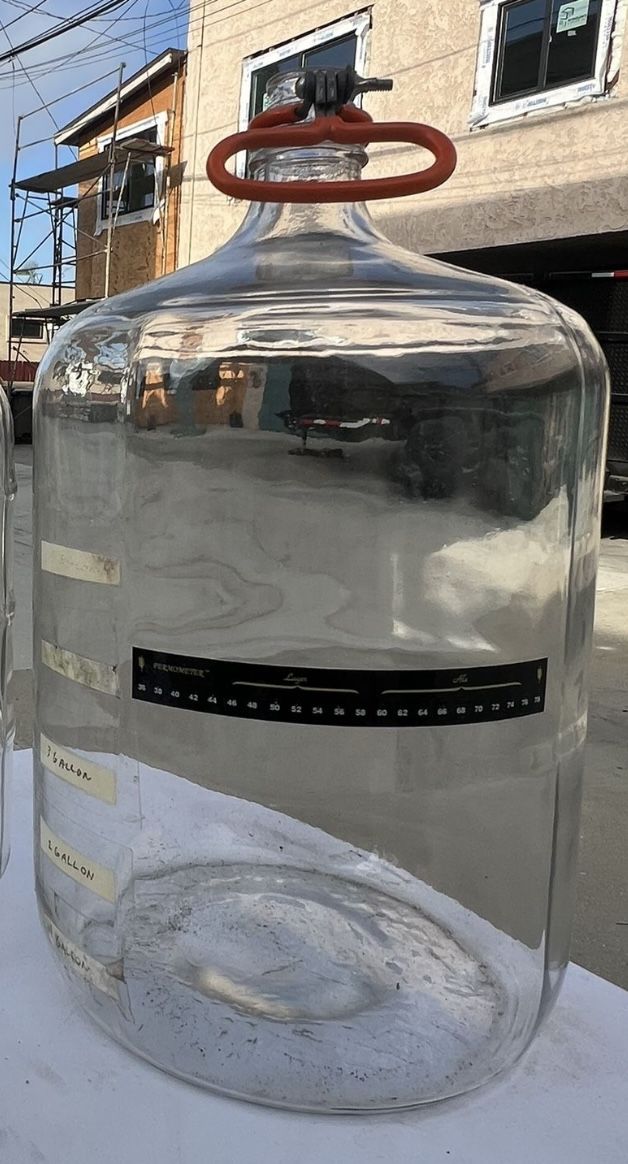 Carboy- 6.5 Gallon Glass 