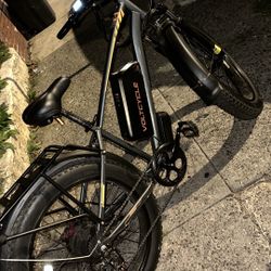 E-bike voltcycle 2024
