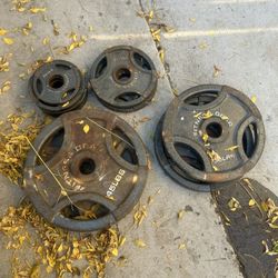 Olympic Weight Plate Set 