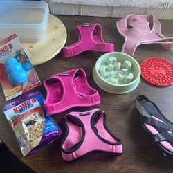 Misc starter Puppy lot Voyager step in Harness Lot small-xl dog food dish
