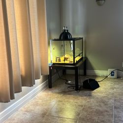Glass Reptile Tank