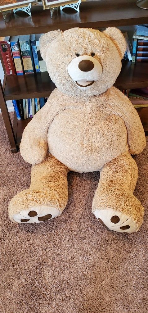 Big Ol' Teddy BEAR 🧸 