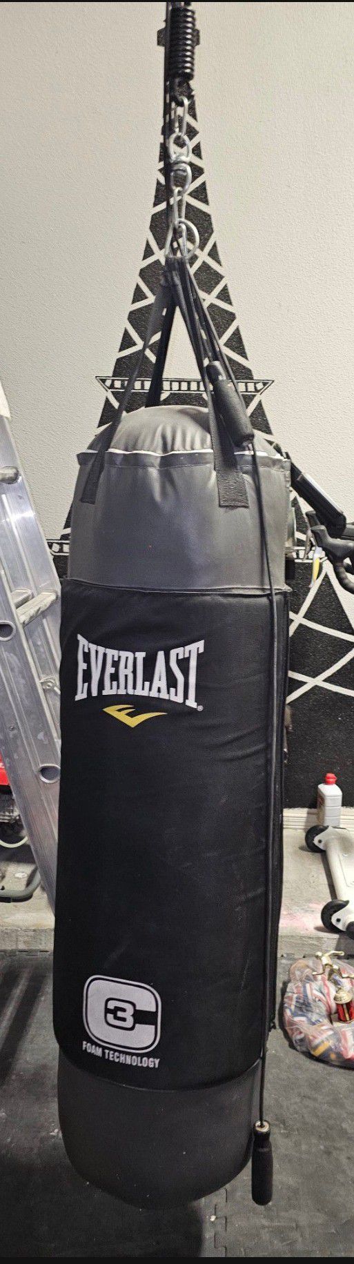 Everlast Punching Bag Only