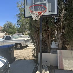 Basket Ball Court