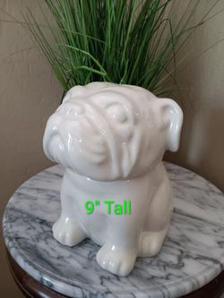 English Bulldog Cookie Treat Cookie Jar Canester White Stoneware. No Chips or Cracks