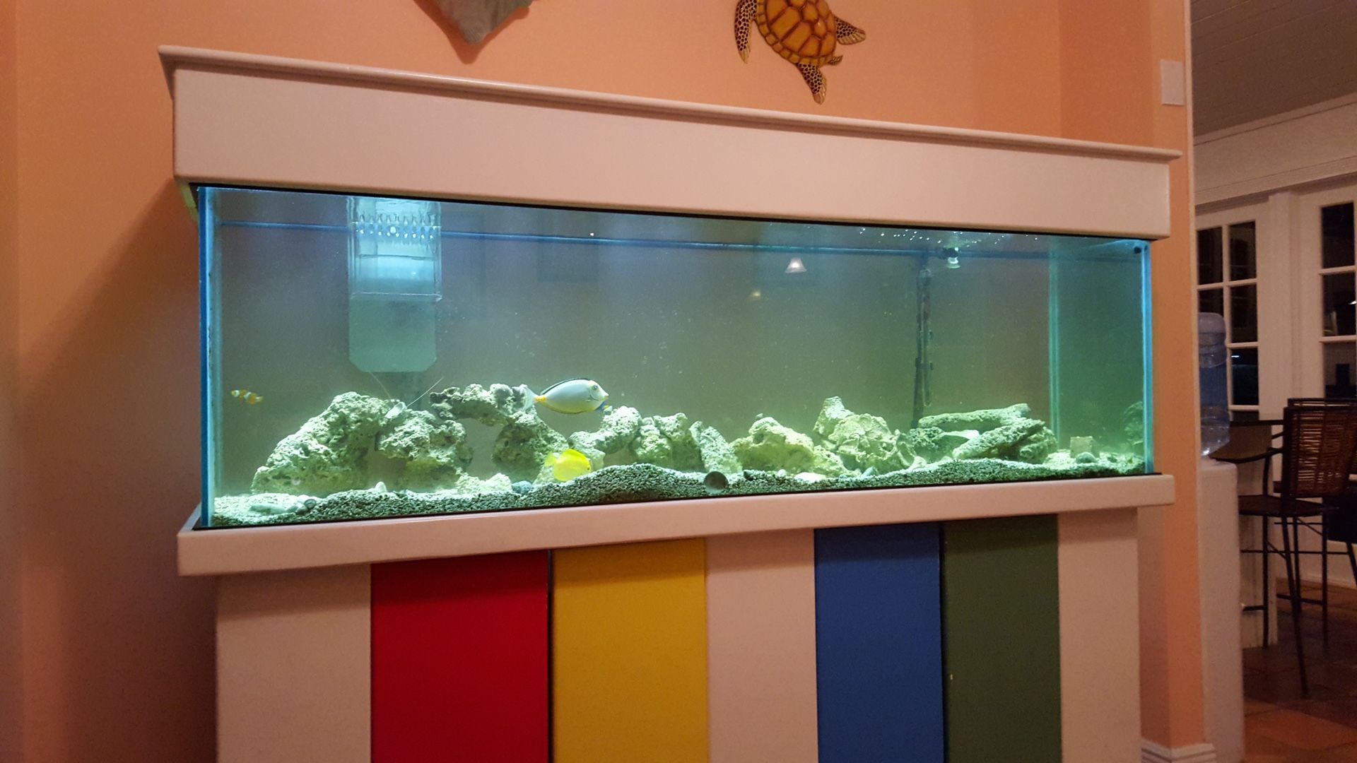 125 Gallon Aquarium