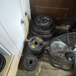 Olympic Weight set 510lbs