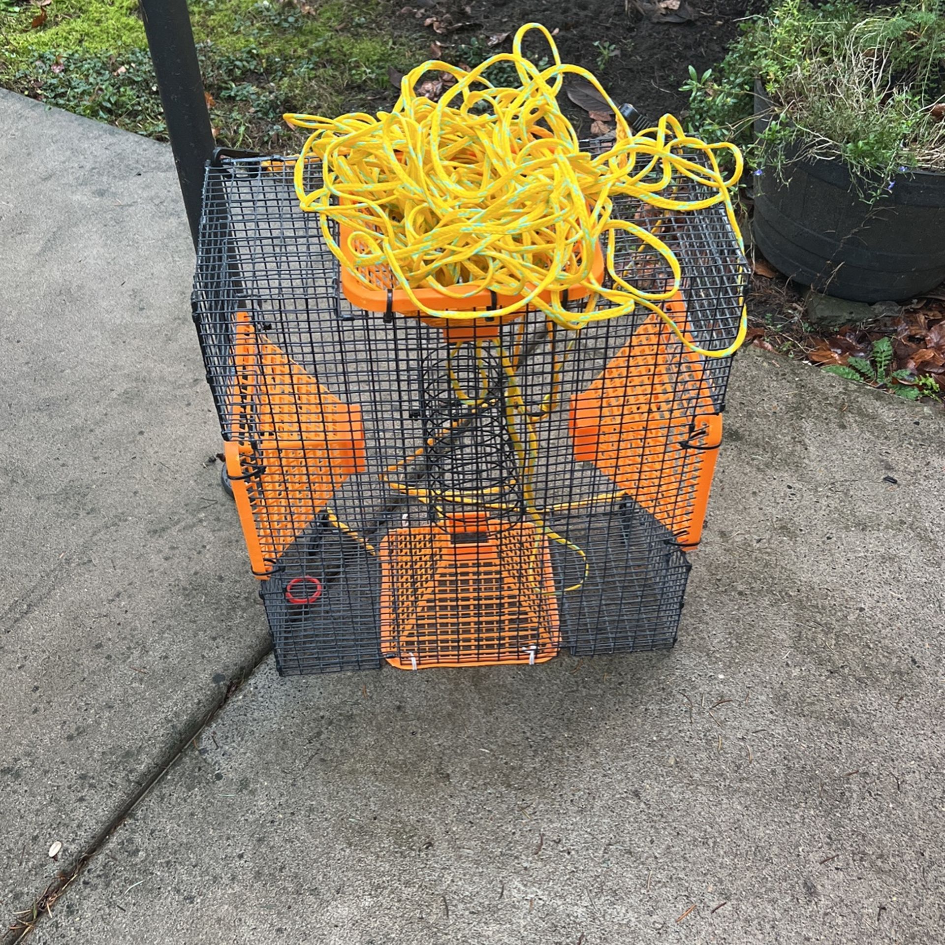 Shrimp Cage