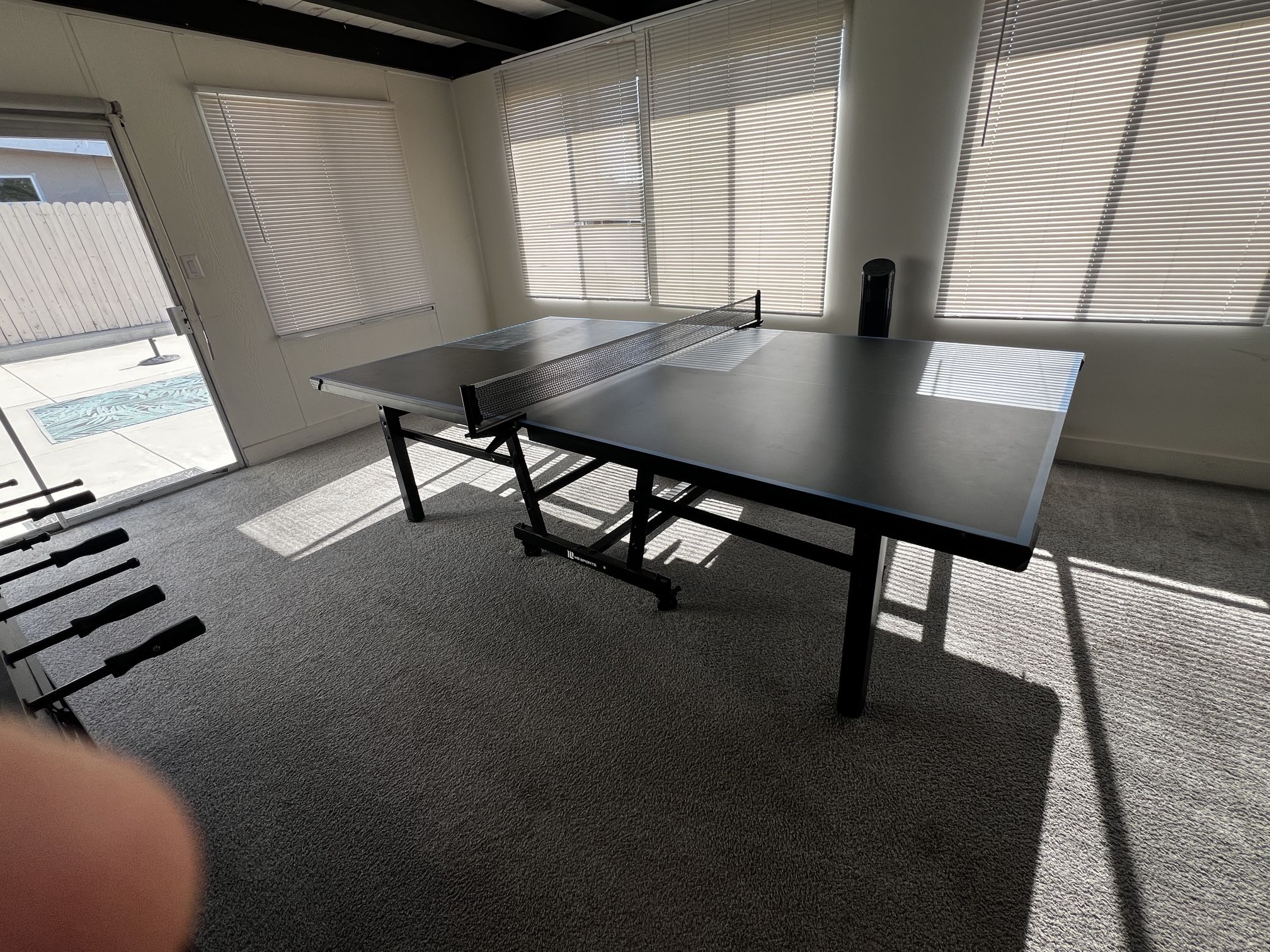 Ping Pong Table