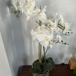 Floral Decor - Faux White Flowers With Designed Pots 