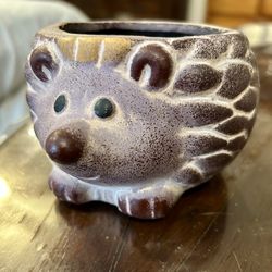 Premium Collections Top WoodWick Fragrances Hedgehog