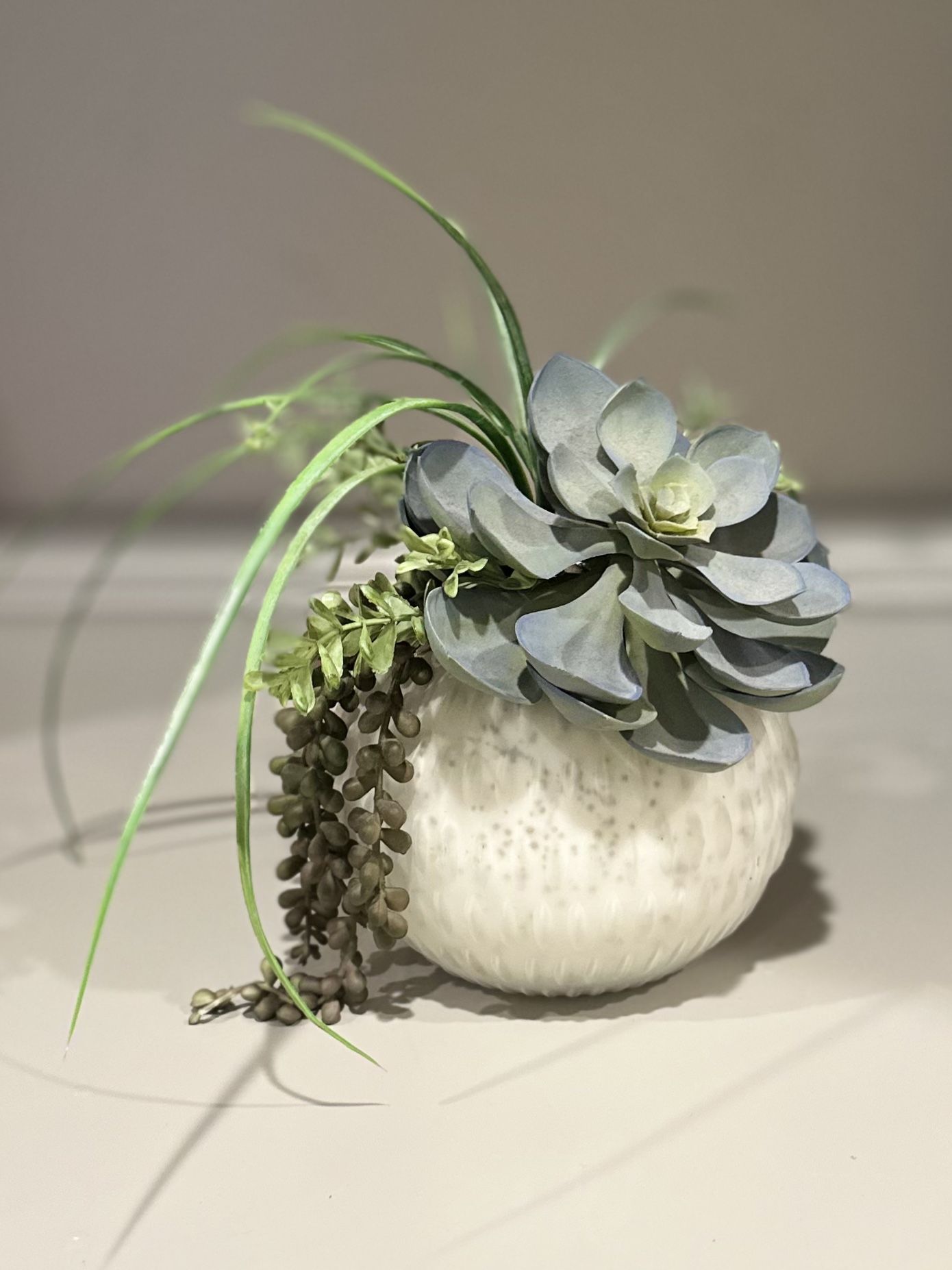 Succulent Plant decor