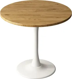 Kasinali Round Dining Table 27.5" Circle Tulip Table with Wood Thickened Tabletop & Sturdy Metal Pedestal Mid Century Modern Leisure Bistro Kitchen Ta