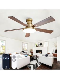 52 Inch Low Profile Gold Ceiling Fan with Lights, Smart Remote