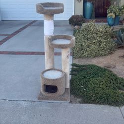 FREE CAT TREE