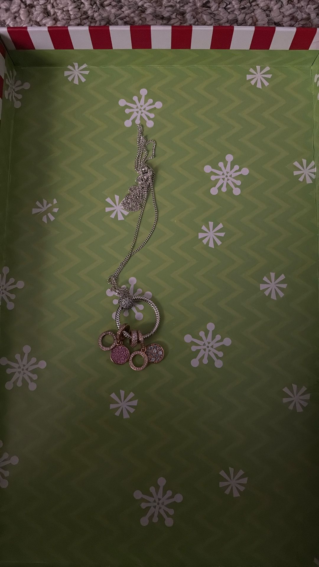 Pandora Small Ring Necklace