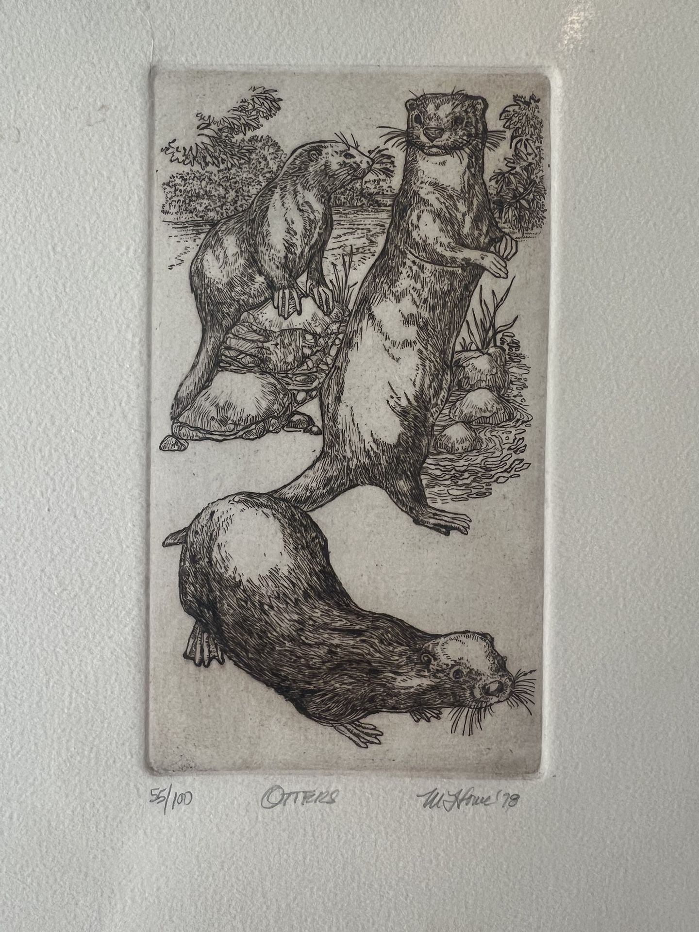 Marsha K Howe Signed Otter Etching -new 55/100