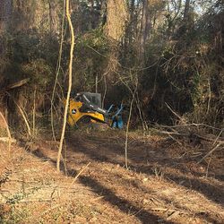 Land clearing  and more