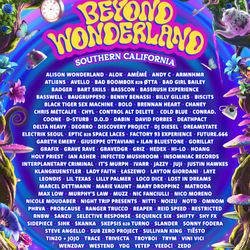 Beyond Wonderland 2026 2 Day GA Experience Pass