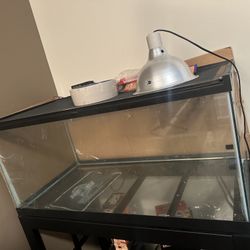 40 Gallon Tank