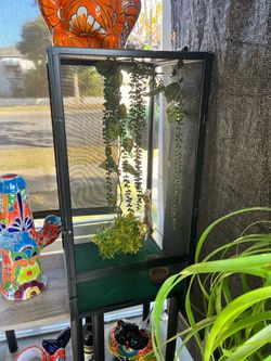 Reptiles Cage