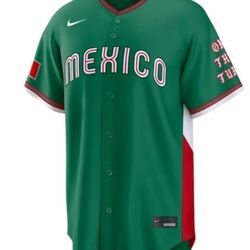 Fanatics x World Baseball