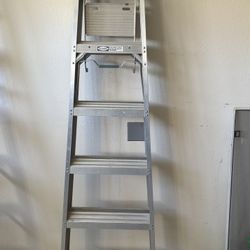 Werner 6ft Ladder