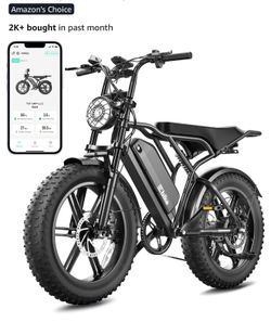 TST electric Bike