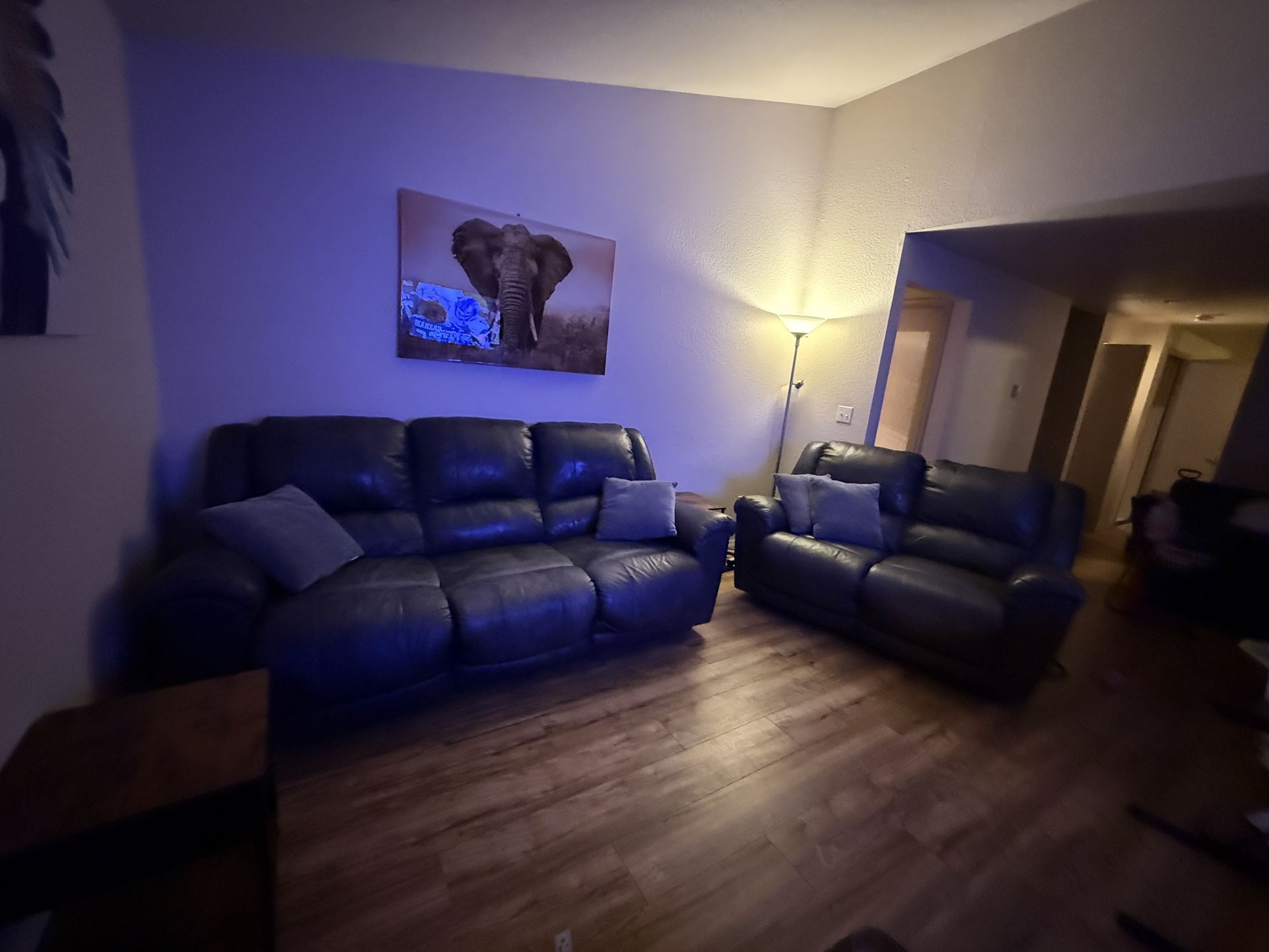 Electric Grey Leather Sofa Recliner & Loveseat (OBO)