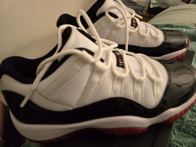 Jordan 11 Concord Bred Y6