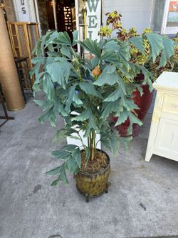 Artificial Plant With Beautiful Pot 