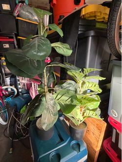 Faux fix plant