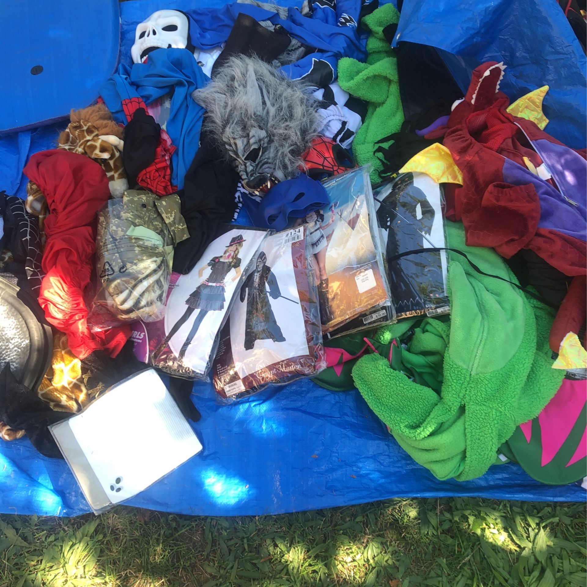 Lot Of Halloween Costumes