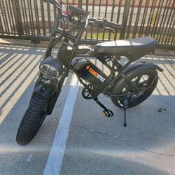 Tamobyke Electric Bicycle 30mph 