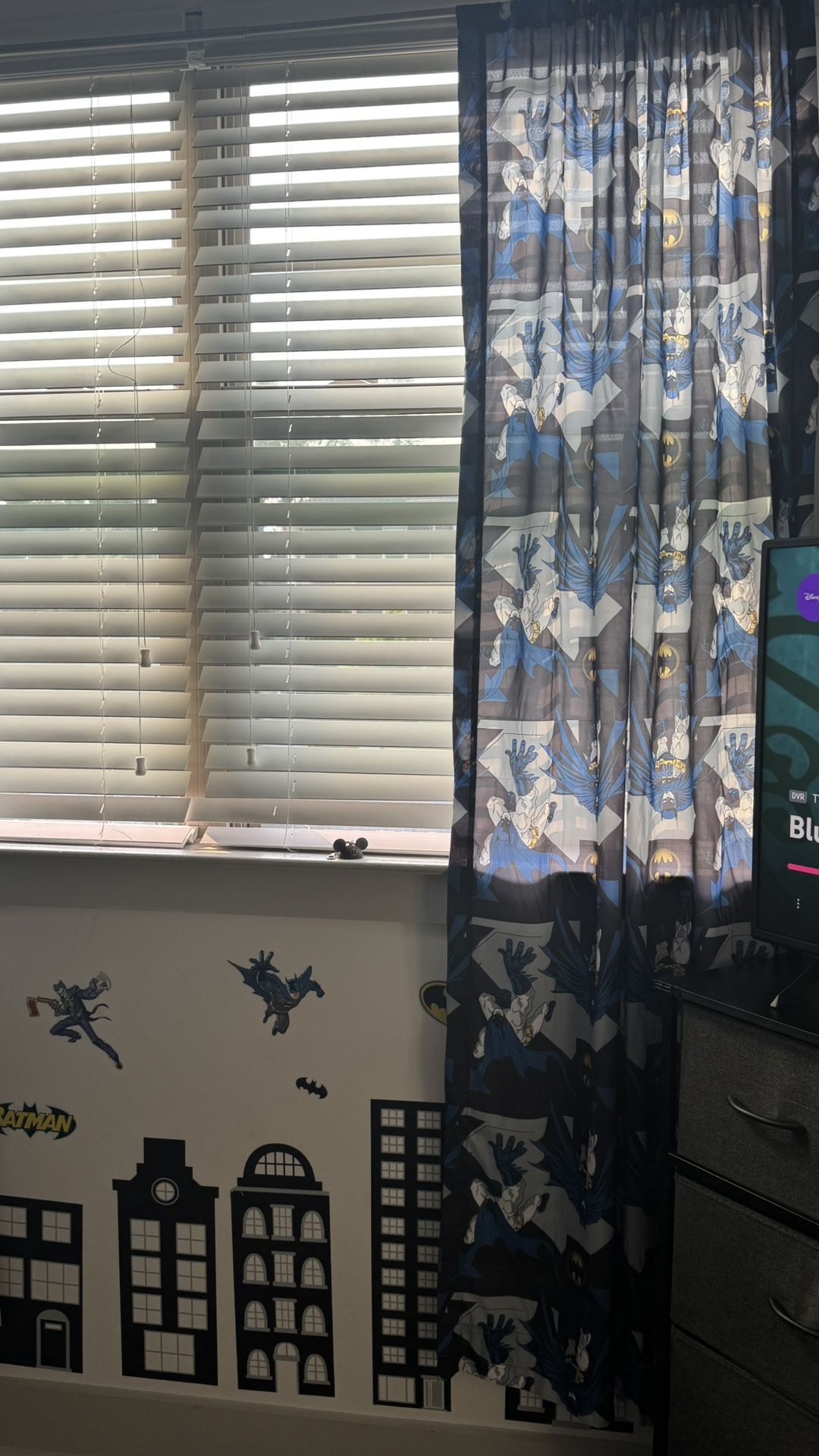 Batman Decor, Curtains And Rug
