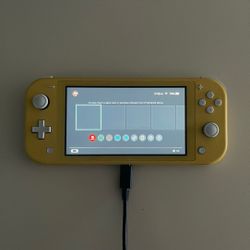  Nintendo Switch Lite