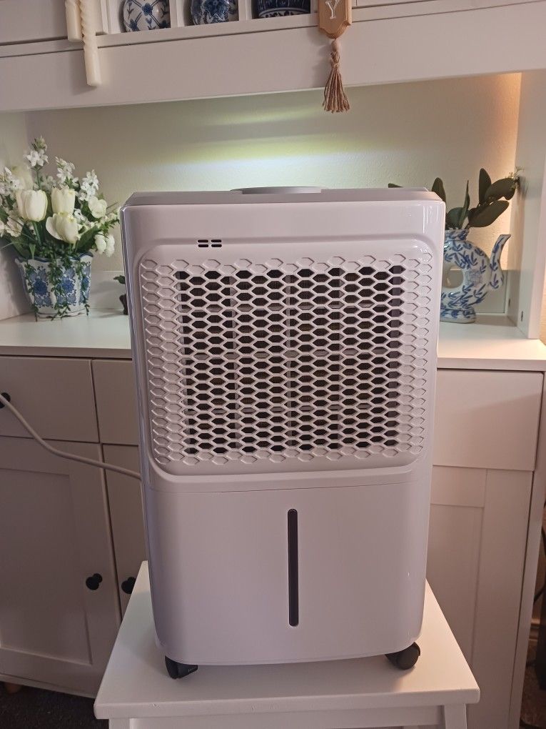 Dehumidifier 