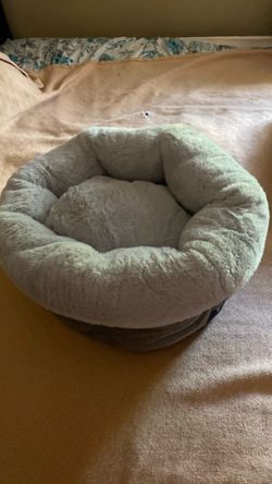 Cat Bed For Sale
