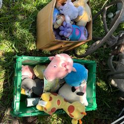 Free Stuffed Animals 