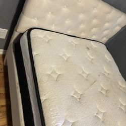 Cama Sencilla / single bed