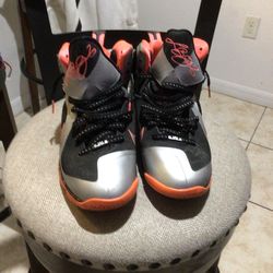 LeBrons James  shoes