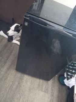 Mini refrigerator