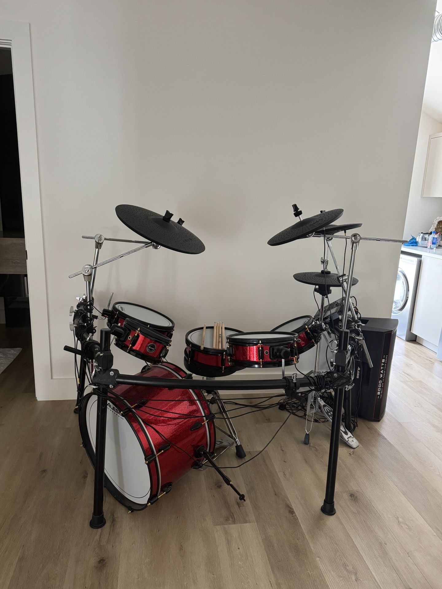 Alesis Electronic Drum Set