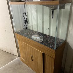 Fish Tank 50g