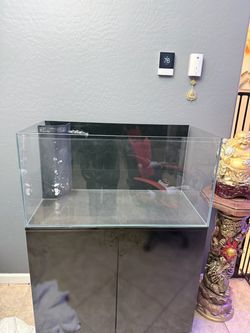 50 Gallon Aqua Japan