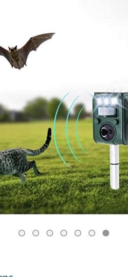 Protect Your Pets From Coyotes