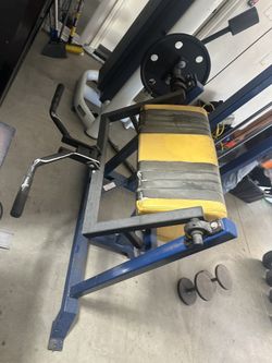 Reflex Bicep Curl