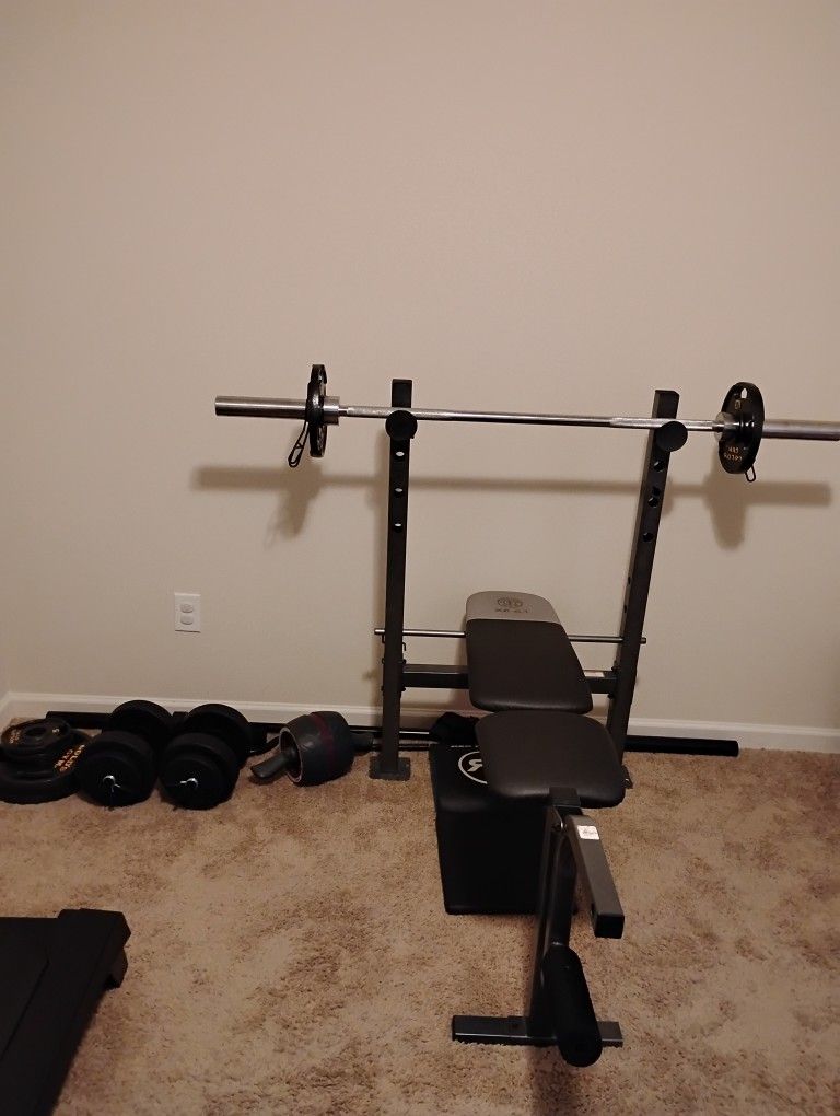 Gold Gym Weight Bench, Dumbbells, and weights.